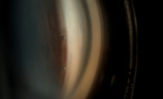 Captura de pantalla 2025-08-19 a la(s) 20.45.43