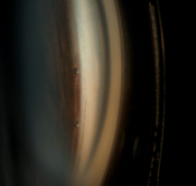 Captura de pantalla 2026-04-06 a la(s) 21.59.53