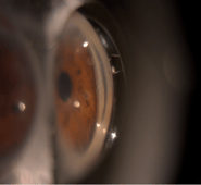 Captura de pantalla 2026-04-06 a la(s) 22.00.02