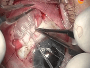 Captura de pantalla 2026-04-06 a la(s) 22.35.15