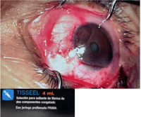 Captura de pantalla 2026-04-06 a la(s) 22.52.25